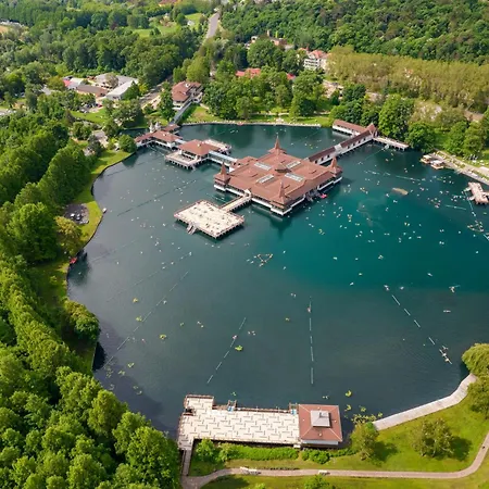 In - Balaton 54377 *