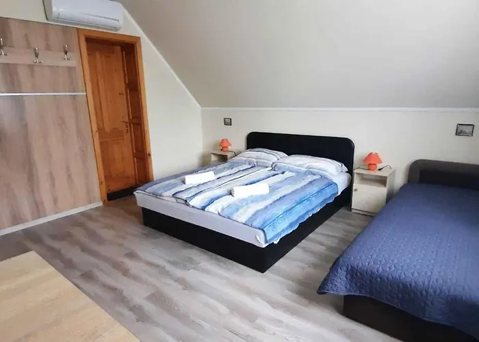 In - Balaton 54377 別荘 *