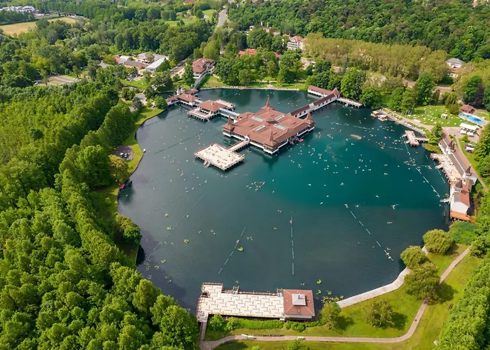 In - Balaton 54377 *