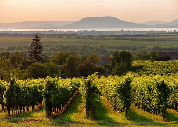 In - Balaton 54377 *